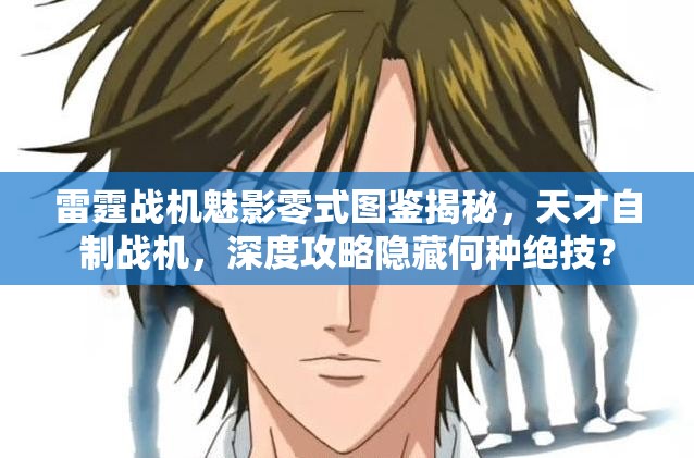 雷霆战机魅影零式图鉴揭秘，天才自制战机，深度攻略隐藏何种绝技？