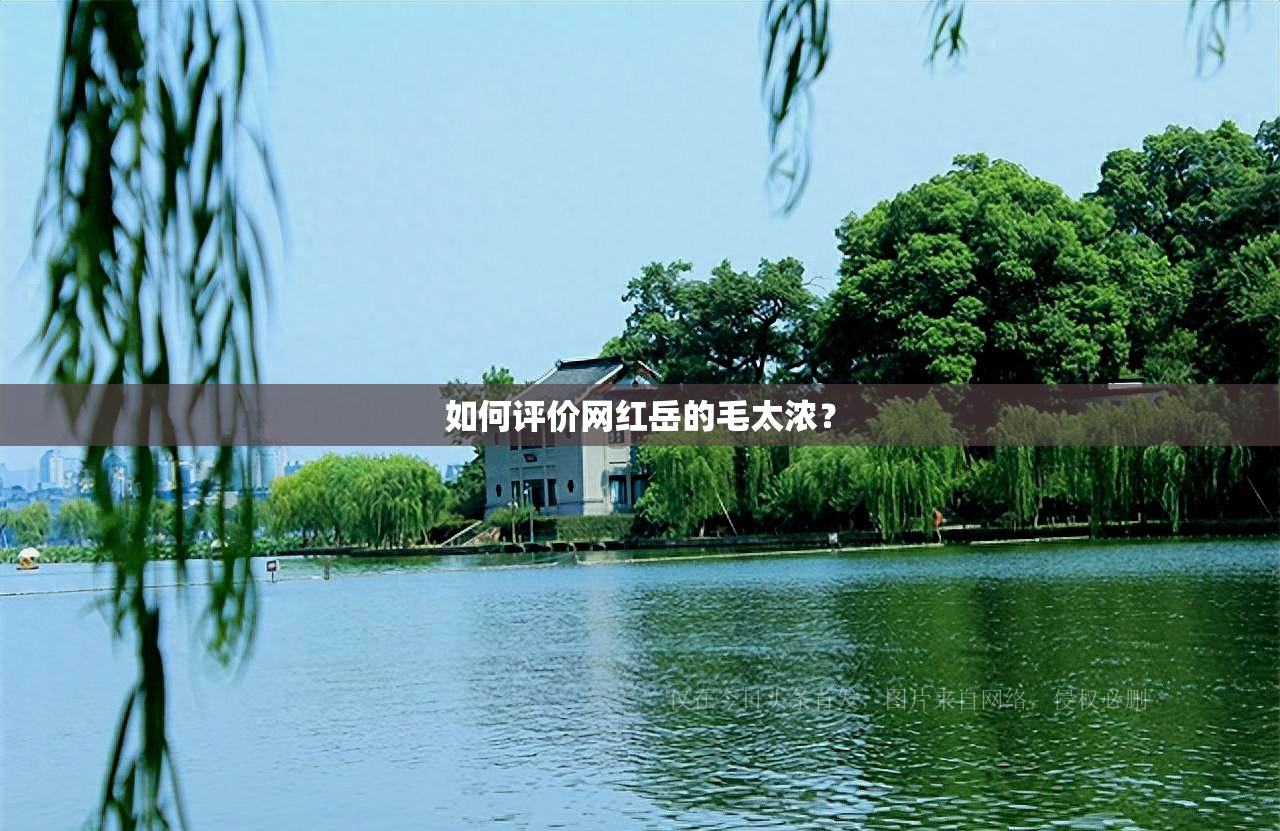 如何评价网红岳的毛太浓？
