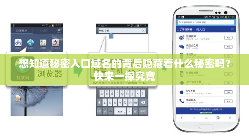 想知道秘密入口域名的背后隐藏着什么秘密吗？快来一探究竟