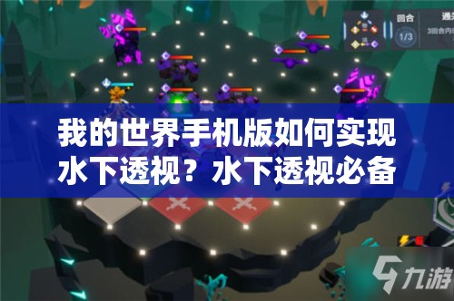 我的世界手机版如何实现水下透视？水下透视必备技巧大揭秘！