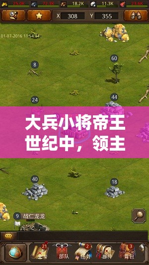 大兵小将帝王世纪中，领主与小兵玩法究竟有何奥秘全攻略？