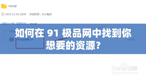 如何在 91 极品网中找到你想要的资源？