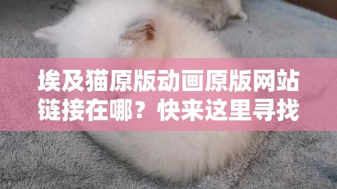 埃及猫原版动画原版网站链接在哪？快来这里寻找答案