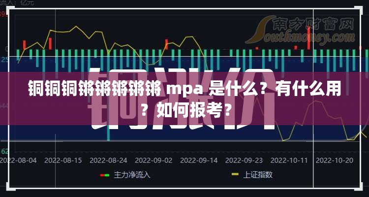 铜铜铜锵锵锵锵锵 mpa 是什么？有什么用？如何报考？