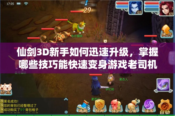 仙剑3D新手如何迅速升级，掌握哪些技巧能快速变身游戏老司机？