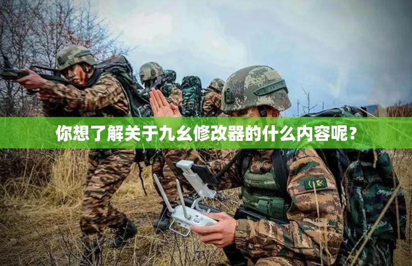 你想了解关于九幺修改器的什么内容呢？