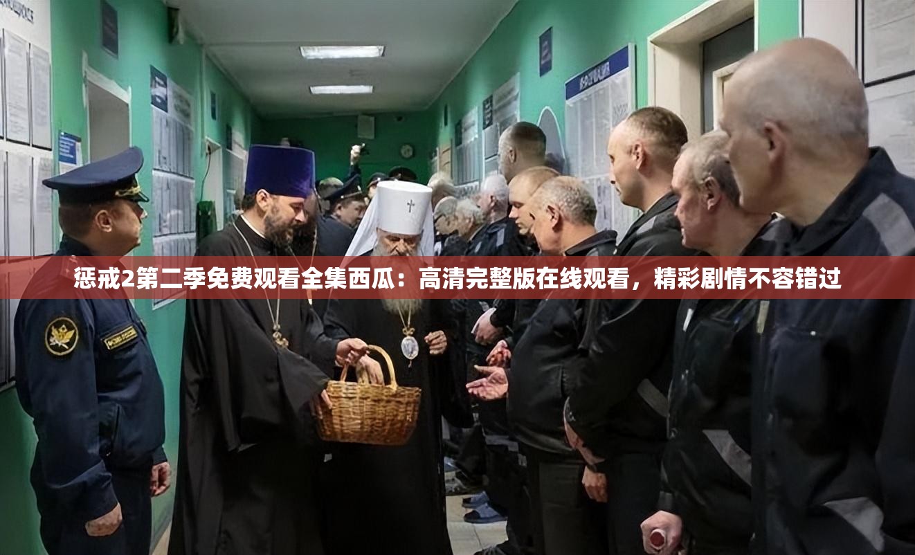 惩戒2第二季免费观看全集西瓜：高清完整版在线观看，精彩剧情不容错过