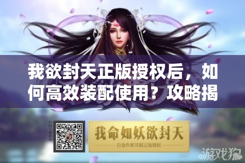 我欲封天正版授权后，如何高效装配使用？攻略揭秘！