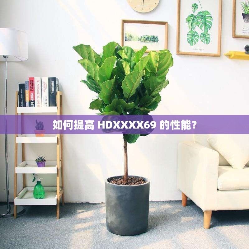 如何提高 HDXXXX69 的性能？