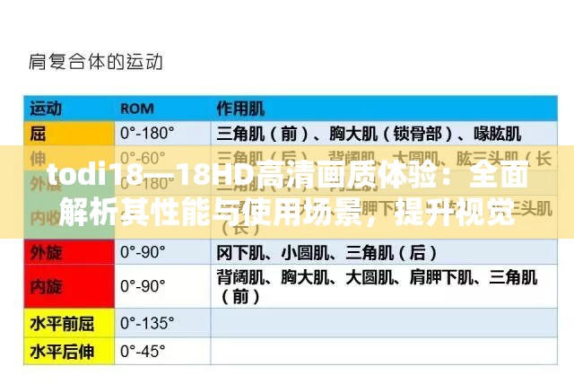 todi18—18HD高清画质体验：全面解析其性能与使用场景，提升视觉享受的最佳选择