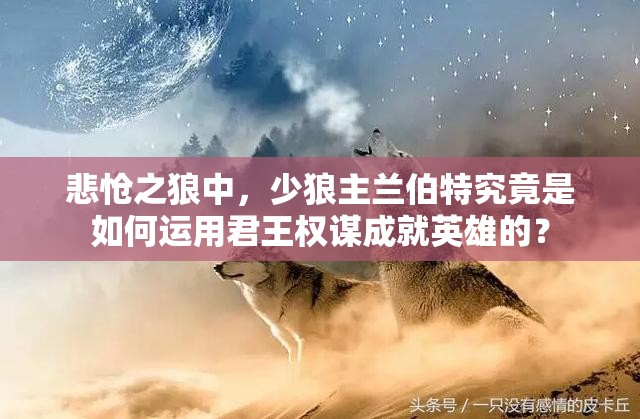 悲怆之狼中，少狼主兰伯特究竟是如何运用君王权谋成就英雄的？