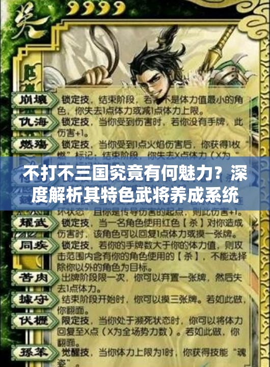 不打不三国究竟有何魅力？深度解析其特色武将养成系统攻略