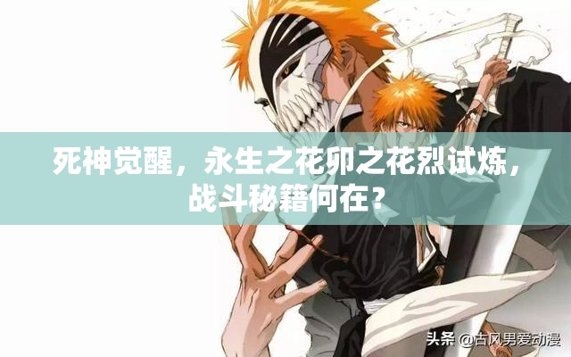 死神觉醒，永生之花卯之花烈试炼，战斗秘籍何在？