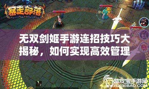 无双剑姬手游连招技巧大揭秘，如何实现高效管理并在实战中出奇制胜？