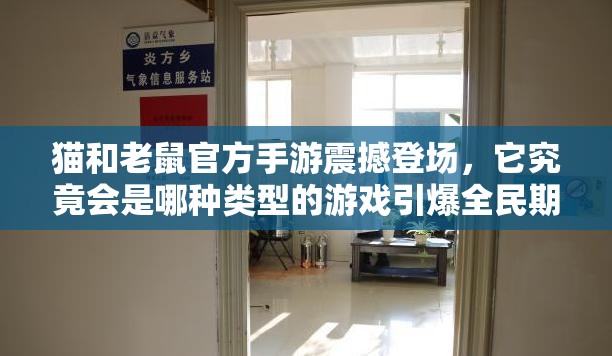 猫和老鼠官方手游震撼登场，它究竟会是哪种类型的游戏引爆全民期待？