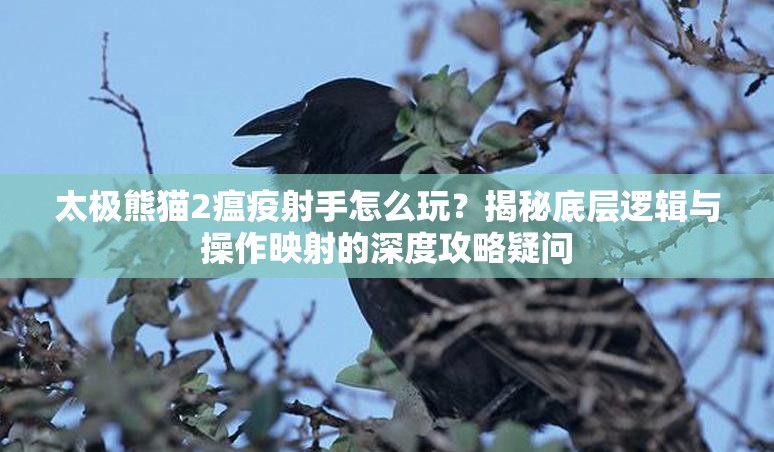 太极熊猫2瘟疫射手怎么玩？揭秘底层逻辑与操作映射的深度攻略疑问
