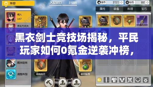 黑衣剑士竞技场揭秘，平民玩家如何0氪金逆袭冲榜，秘籍何在？