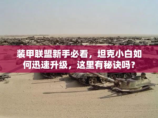 装甲联盟新手必看，坦克小白如何迅速升级，这里有秘诀吗？