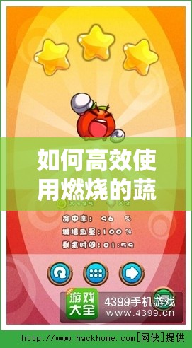 如何高效使用燃烧的蔬菜3金币？全攻略揭秘，避免花冤枉钱！