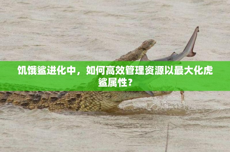 饥饿鲨进化中，如何高效管理资源以最大化虎鲨属性？
