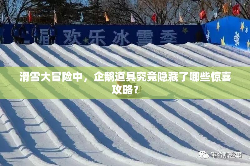 滑雪大冒险中，企鹅道具究竟隐藏了哪些惊喜攻略？