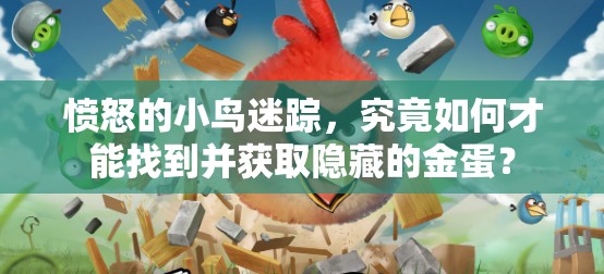 愤怒的小鸟迷踪，究竟如何才能找到并获取隐藏的金蛋？