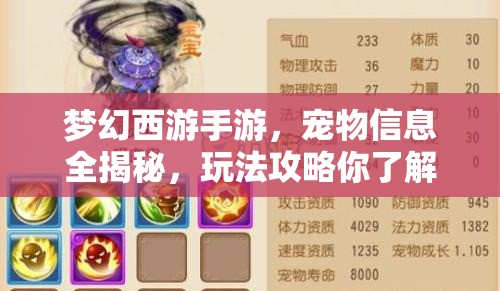梦幻西游手游，宠物信息全揭秘，玩法攻略你了解多少？
