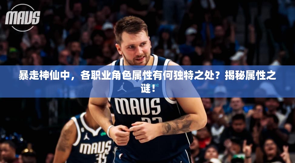 暴走神仙中，各职业角色属性有何独特之处？揭秘属性之谜！