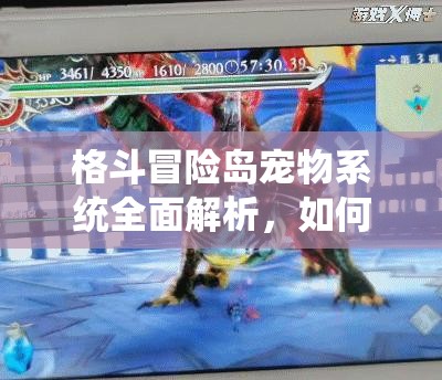 格斗冒险岛宠物系统全面解析，如何高效升级打造最强宠物？