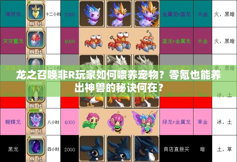 龙之召唤非R玩家如何喂养宠物？零氪也能养出神兽的秘诀何在？