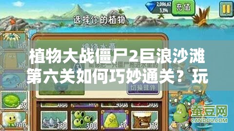 植物大战僵尸2巨浪沙滩第六关如何巧妙通关？玩法革新揭秘！