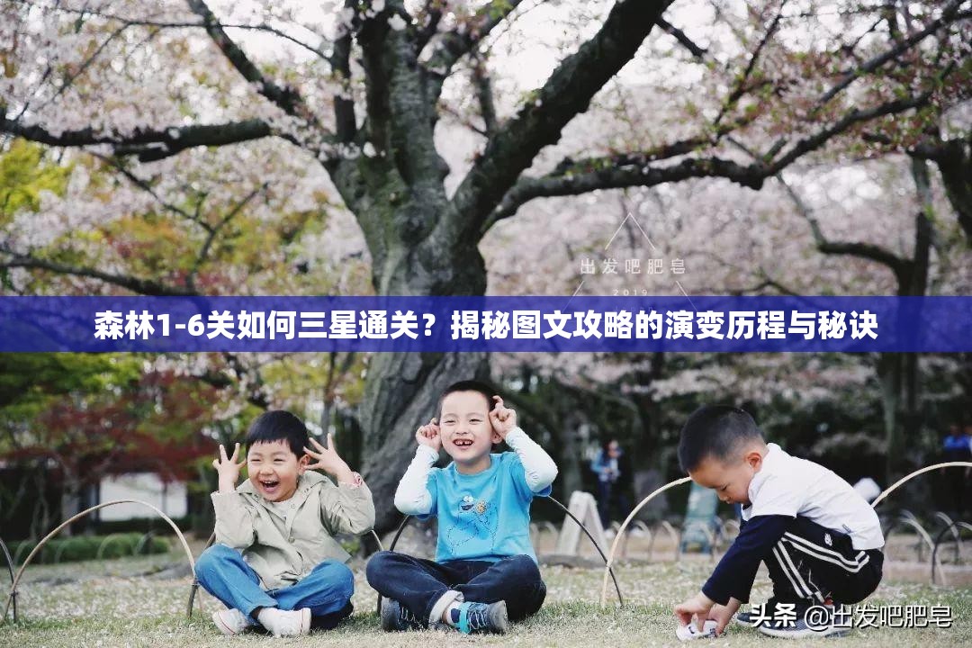 森林1-6关如何三星通关？揭秘图文攻略的演变历程与秘诀