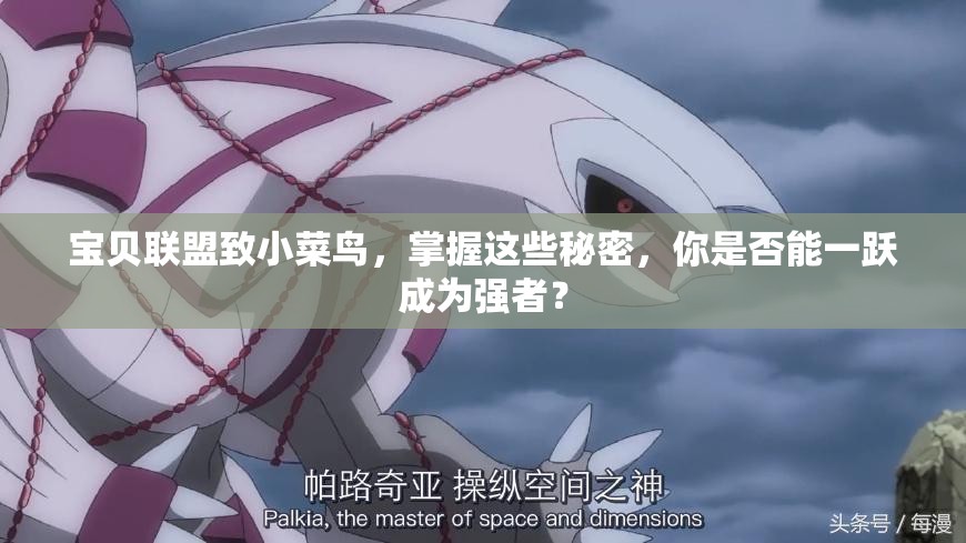 宝贝联盟致小菜鸟，掌握这些秘密，你是否能一跃成为强者？