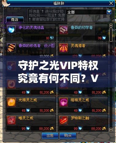 守护之光VIP特权究竟有何不同？VIP11奢华体验全揭秘！