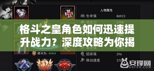 格斗之皇角色如何迅速提升战力？深度攻略为你揭秘！