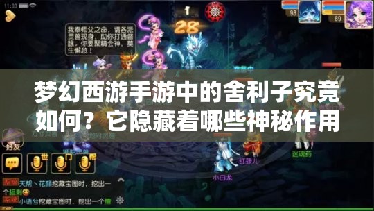 梦幻西游手游中的舍利子究竟如何？它隐藏着哪些神秘作用？