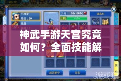神武手游天宫究竟如何？全面技能解析带你揭开神秘面纱