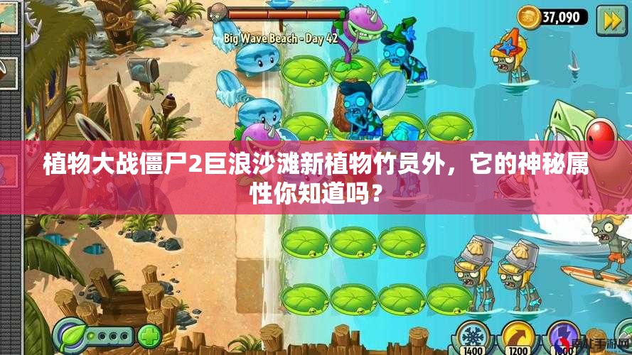 植物大战僵尸2巨浪沙滩新植物竹员外，它的神秘属性你知道吗？