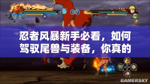忍者风暴新手必看，如何驾驭尾兽与装备，你真的了解吗？