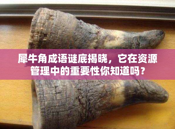 犀牛角成语谜底揭晓，它在资源管理中的重要性你知道吗？