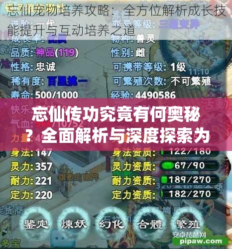 忘仙传功究竟有何奥秘？全面解析与深度探索为你揭秘！