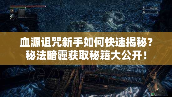 血源诅咒新手如何快速揭秘？秘法暗霾获取秘籍大公开！