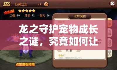 龙之守护宠物成长之谜，究竟如何让宠物变得更加强大？