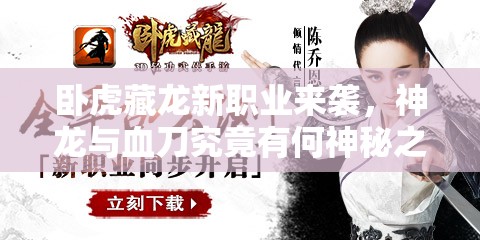 卧虎藏龙新职业来袭，神龙与血刀究竟有何神秘之处？