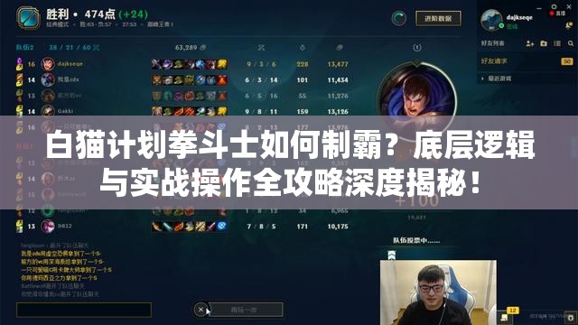 白猫计划拳斗士如何制霸？底层逻辑与实战操作全攻略深度揭秘！