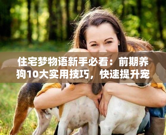 住宅梦物语新手必看：前期养狗10大实用技巧，快速提升宠物幸福感与房屋评分（33字）
