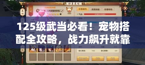 125级武当必看！宠物搭配全攻略，战力飙升就靠它！